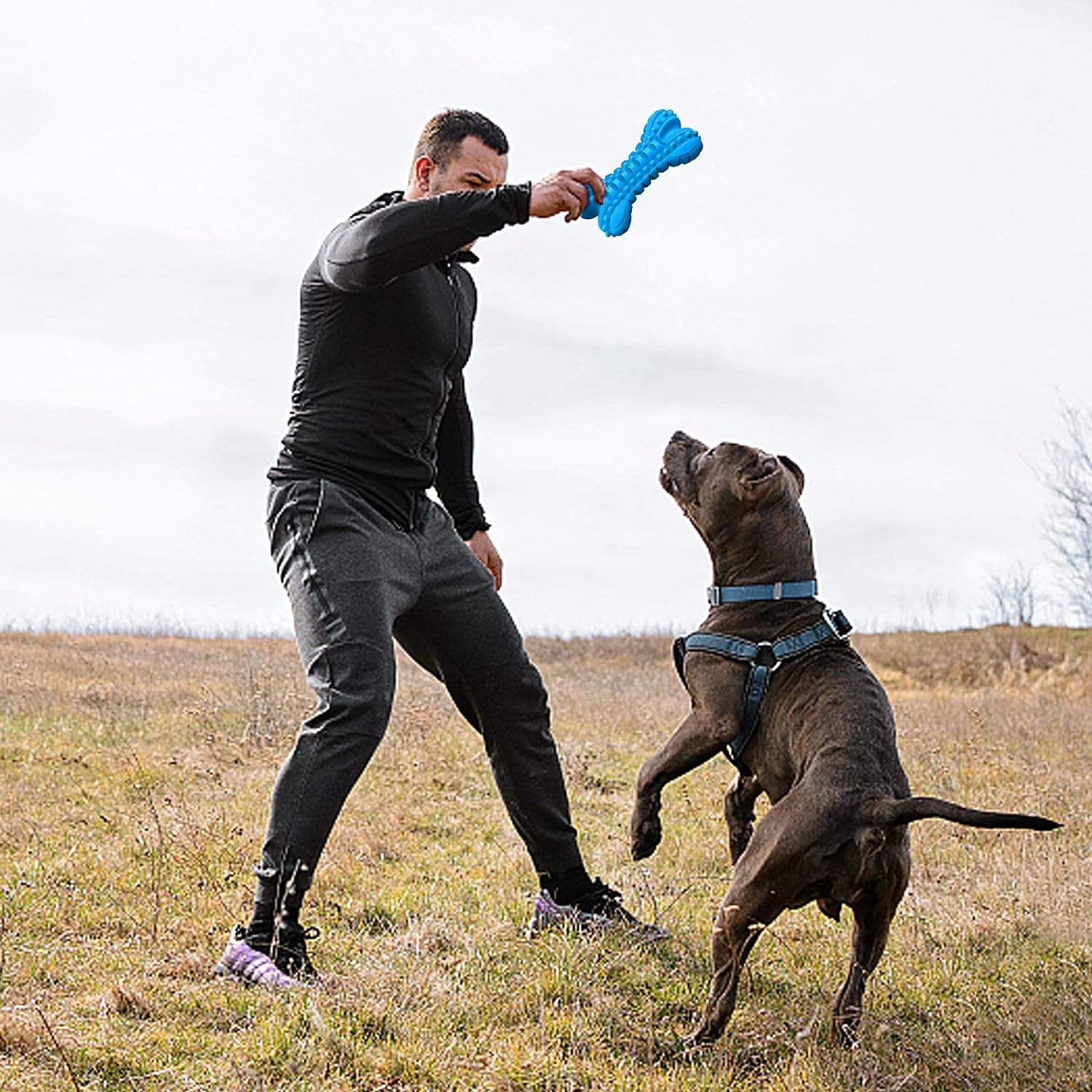 Dog Toys for Aggressive Chewers Large Breed, Durable Dog Bones Squeaky Chew Toy, Nearly Indestructible Dog Toys for Large, Tough Natural Rubber Puppy Chew for Medium Teeth Cleaning
