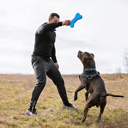 Dog Toys for Aggressive Chewers Large Breed, Durable Dog Bones Squeaky Chew Toy, Nearly Indestructible Dog Toys for Large, Tough Natural Rubber Puppy Chew for Medium Teeth Cleaning