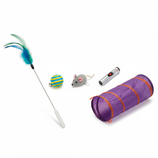 Pack de Brinquedos Interativos para Gato 5 Peças